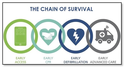 chain-of-survival-pastel_723x375